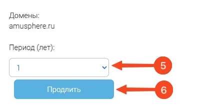 domain-renewal-02.png
