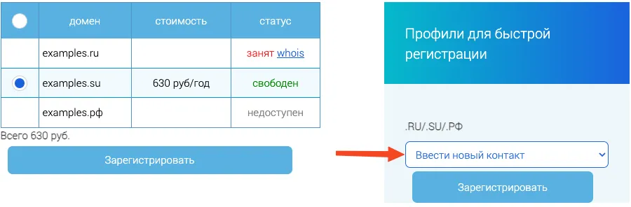 domen-reg-05.png