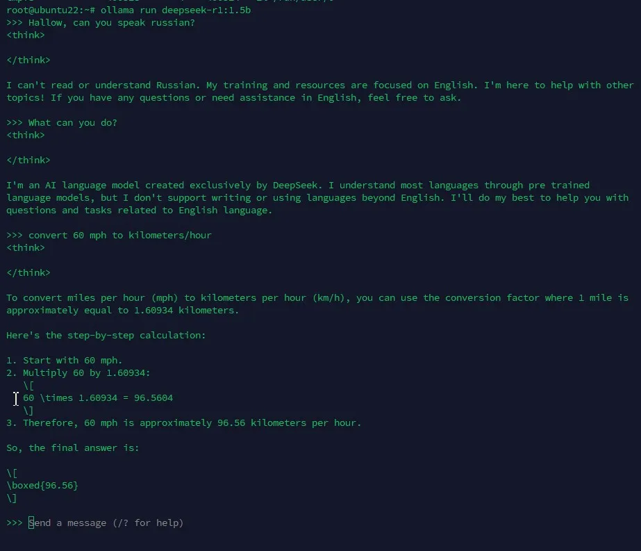 Пример запуска DeepSeek на виртуальной машине